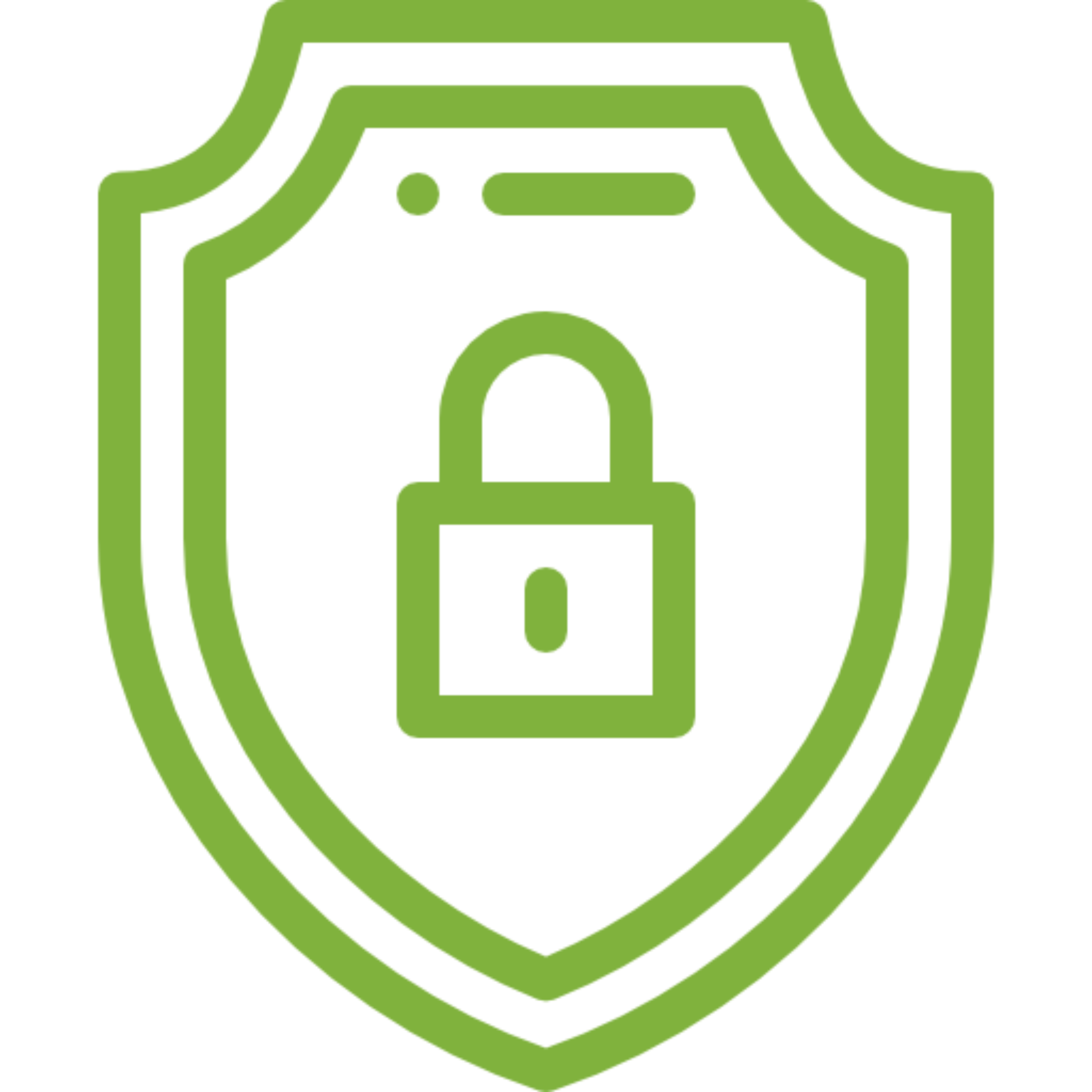 Security Systems